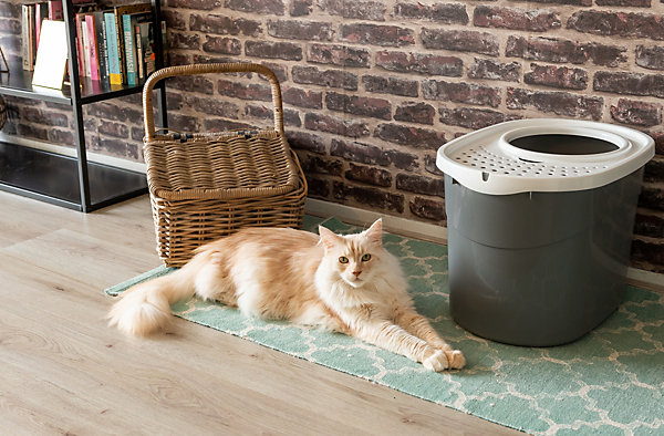 Iris Ohyama, Bac à litière fermé, pelle incluse, Couvercle à trous, pour chat, TECL-20, Gris