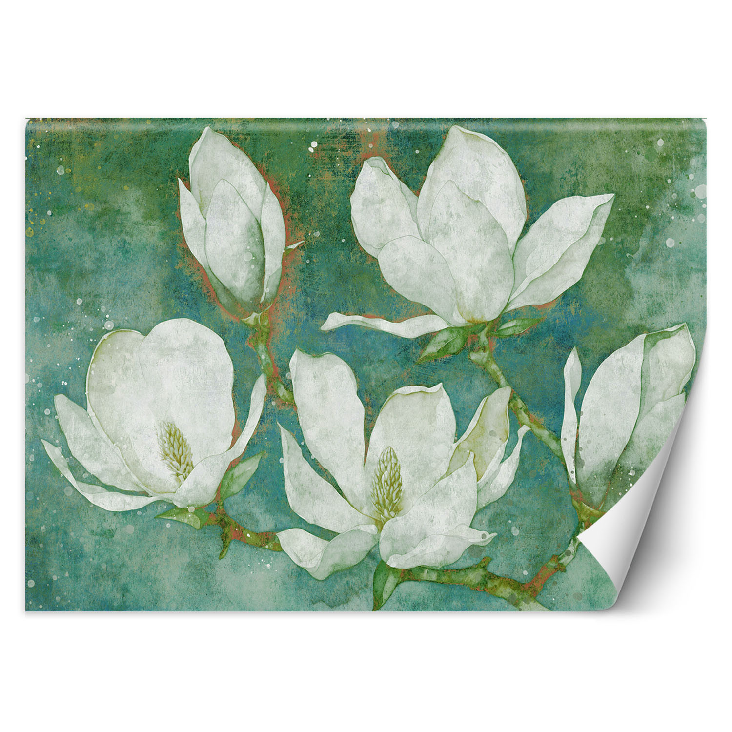 Feeby Fototapeta, Kwitnące magnolie abstrakcja 150x105