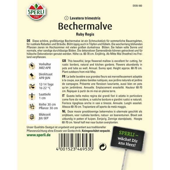 Bechermalve »Ruby Regis«, einjährig, großblumige Schnittblume, Höhe 60-70 cm