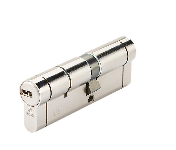 Cylindre de serrure Bricard Nexo 10 débrayable L.40 x 50mm 5 clés