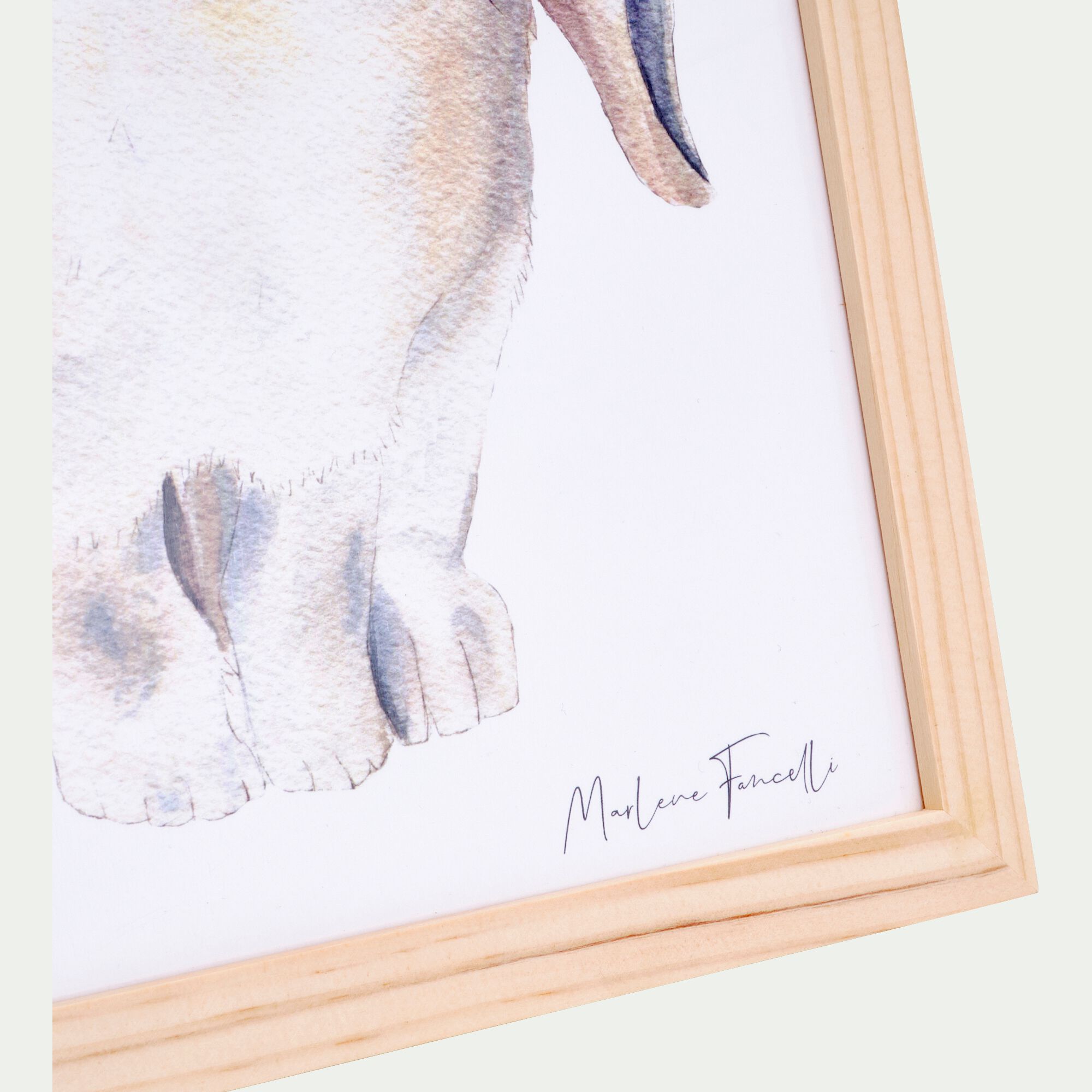 LAPIN BELIER - Image aquarelle encadrée Lapin bélier - A4