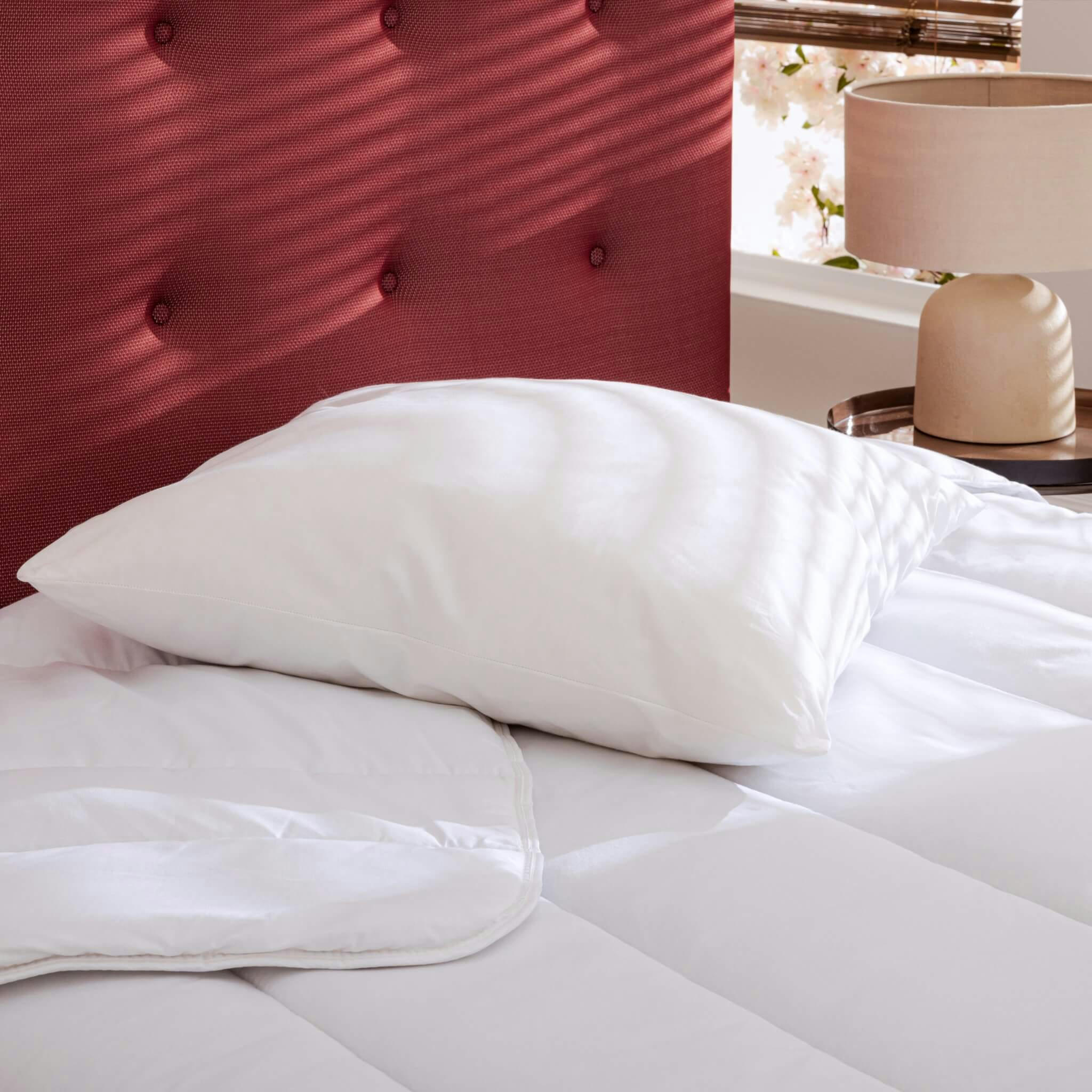 - Oreiller naturel moelleux 65x65