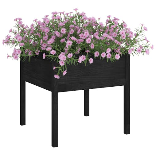 NNEVL Garden Planters 2 pcs Black 70x70x70 cm Solid Pinewood