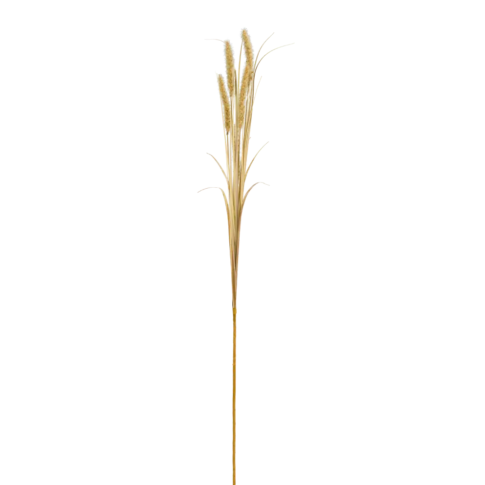 Dekozweig Dried-Grass
