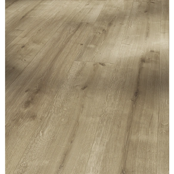 Laminat Handmuster »Basic 400«, Eiche, LxBxS: 200 x 194 x 8 mm