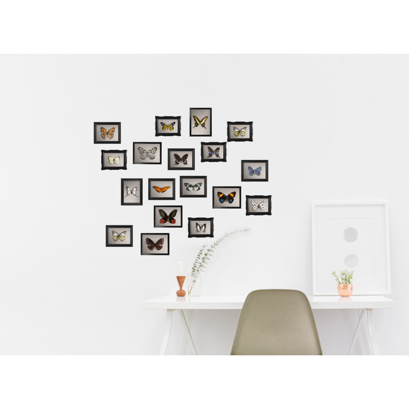 Planche de stickers Cadres de Papillons 48 x 68 cm