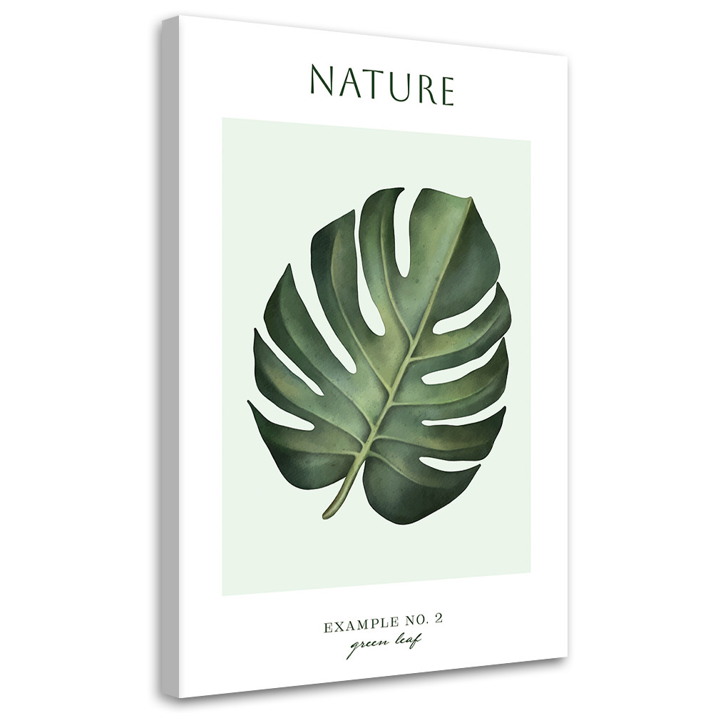 Feeby Obraz na płótnie, Zielony liść - Natura 40x60
