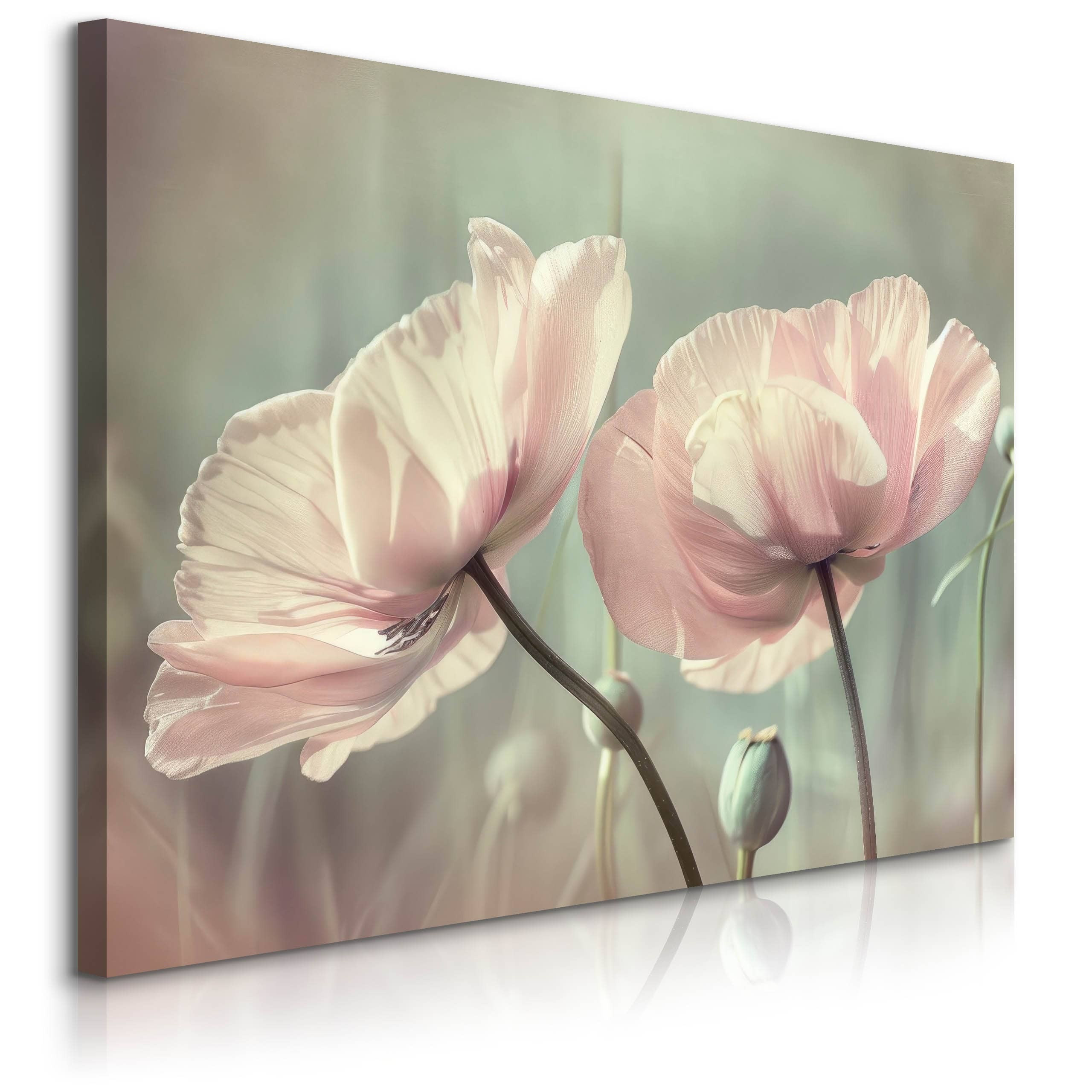 Obraz Białe Tulipany 30x20cm