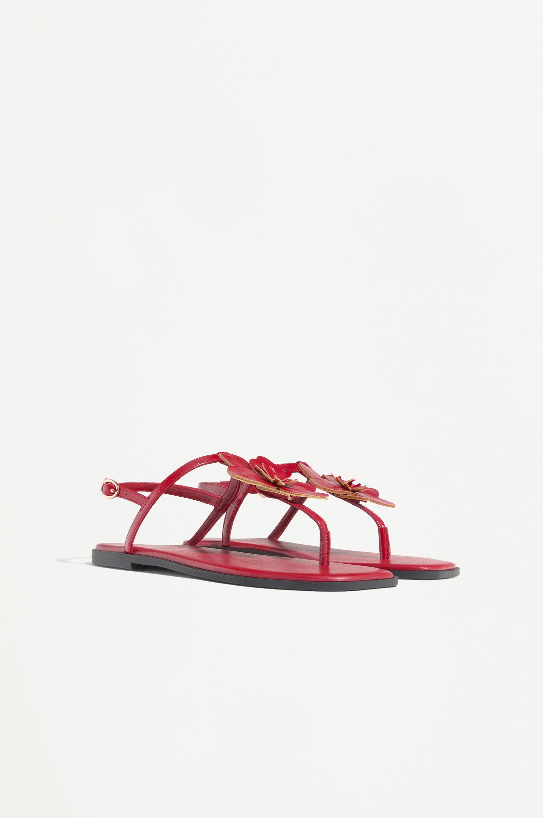 Sandalia plana flor