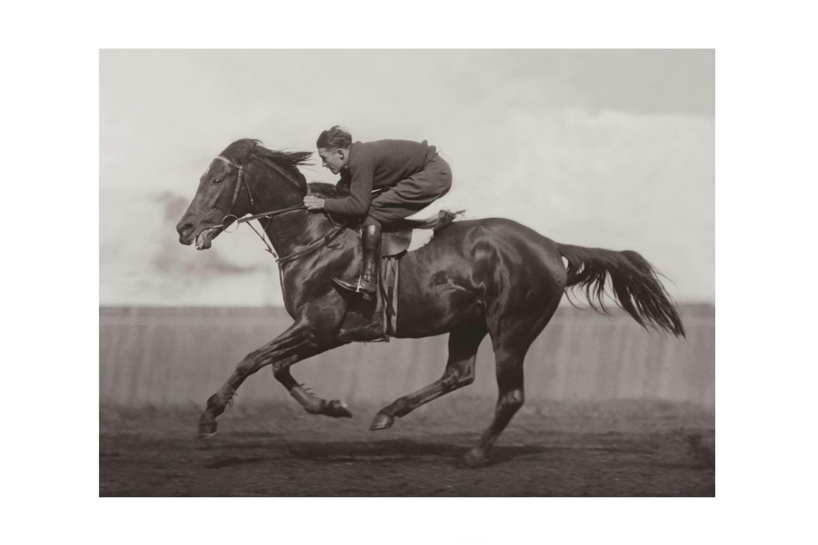 EQUITATION - Photo ancienne noir et blanc cheval n°40 alu 60x90cm