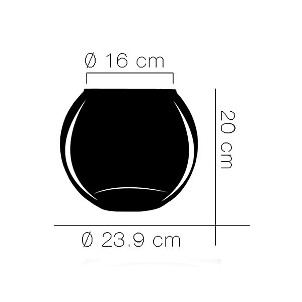 Aquarium boule vase en verre - Diamètre 23.9 x Hauteur 20 cm.