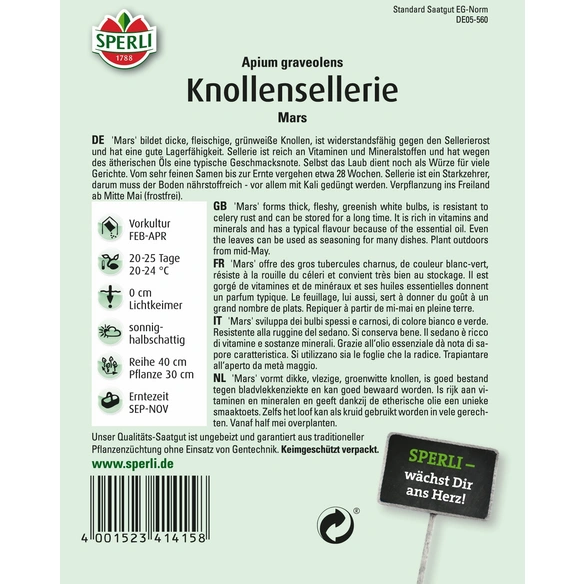 Knollensellerie »Mars«, fleischige, vitaminreiche Knollen, lagerfähig
