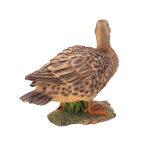 Cane GM Brune - 48 cm - Riviera