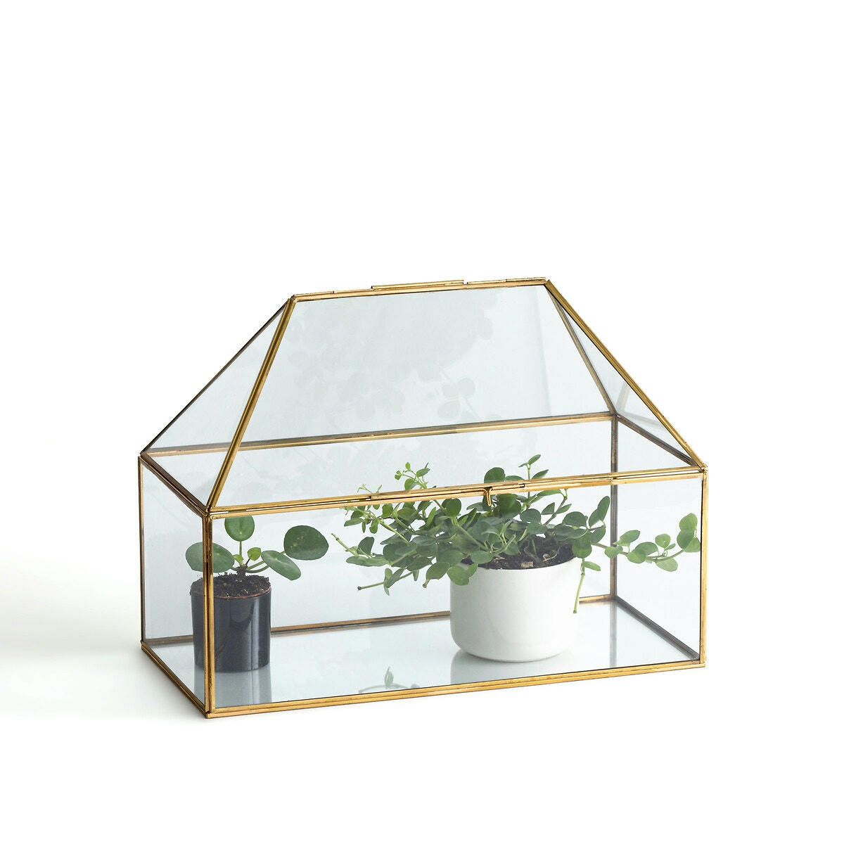 Serre en verre et laiton, Uyova