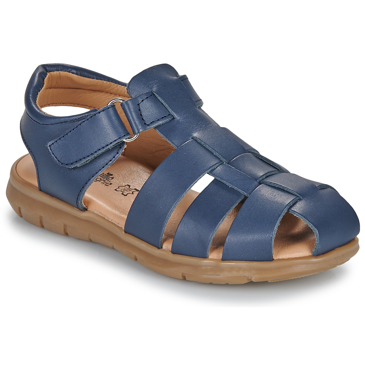 Citrouille et Compagnie - ZAPIDO - Navy