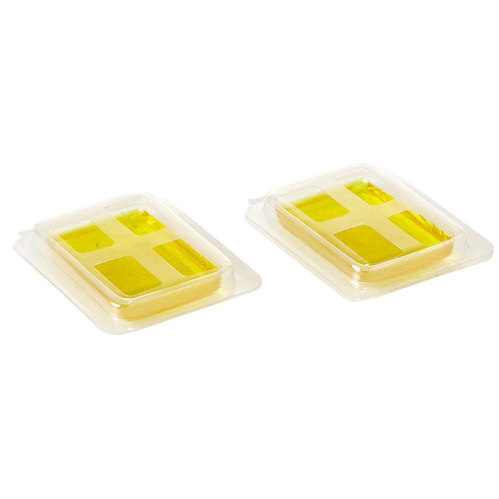 Désodorisant poubelle parfum citron x2