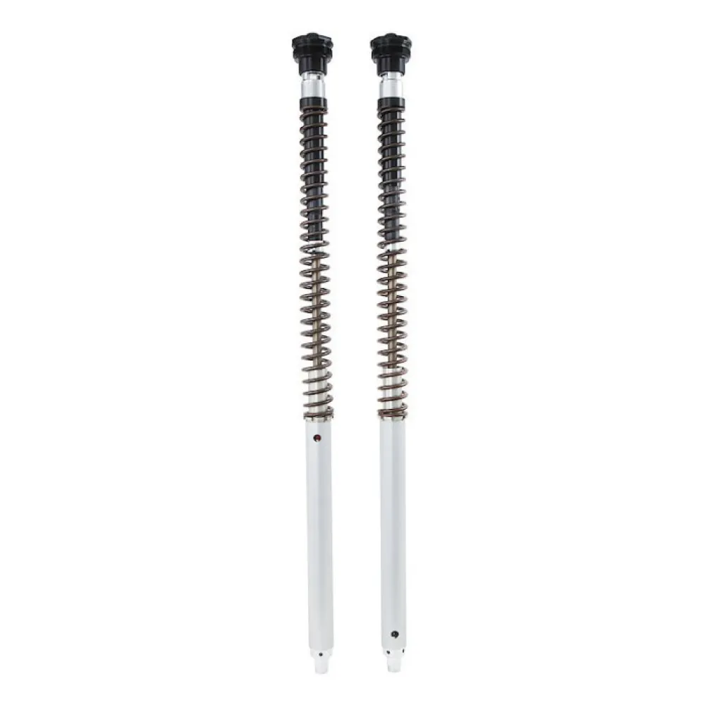 Öhlins Husqvarna Norden 901 Abs 24-26/Ktm Adventure 790 R 19-20 cartridge kit