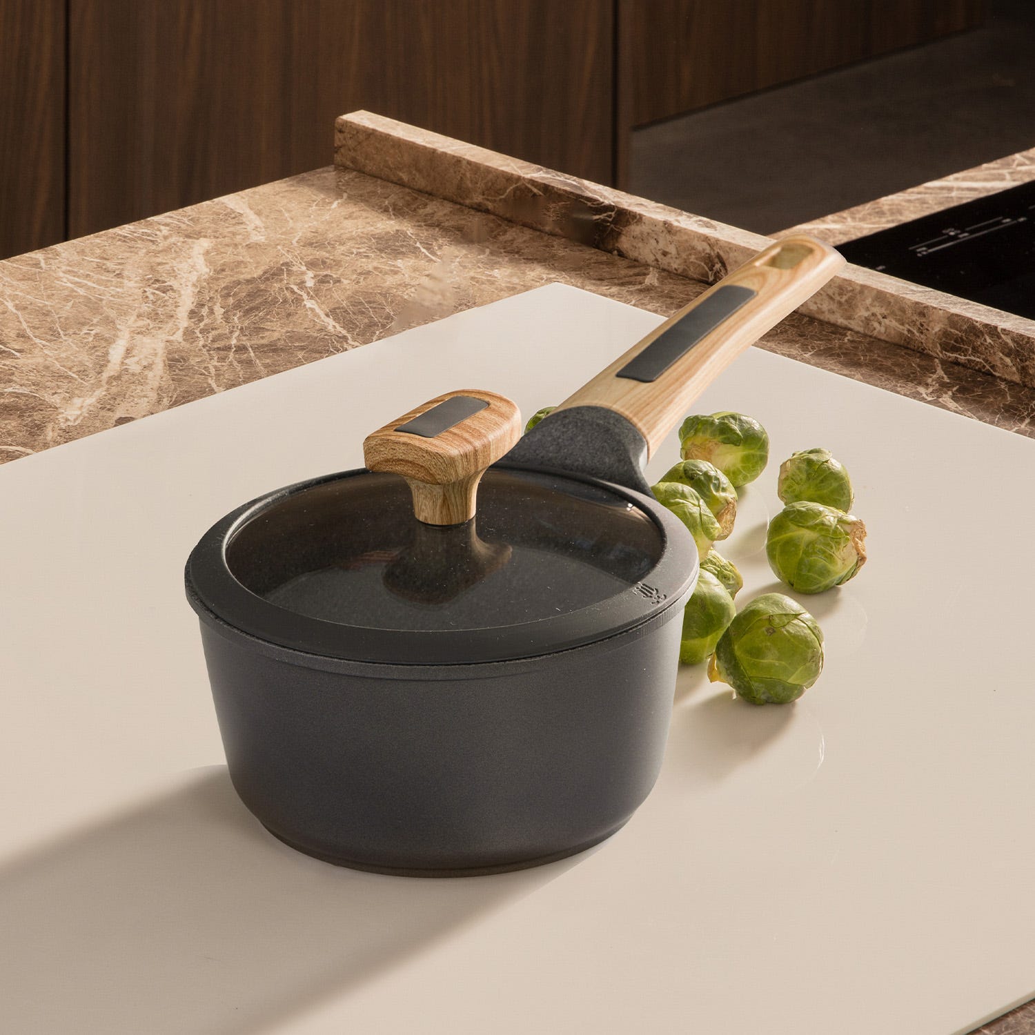 Casseruola 16 cm con coperchio Evolution
