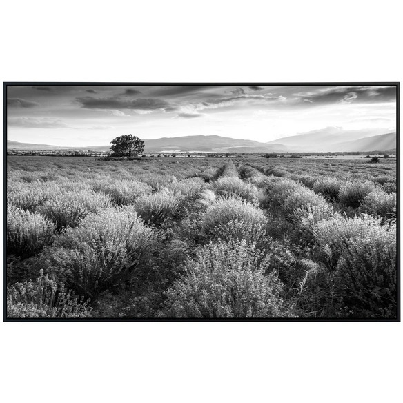 Infrarotheizung »EcoHeat - Landschaft Schwarz   Weiss«, Matt-Effekt