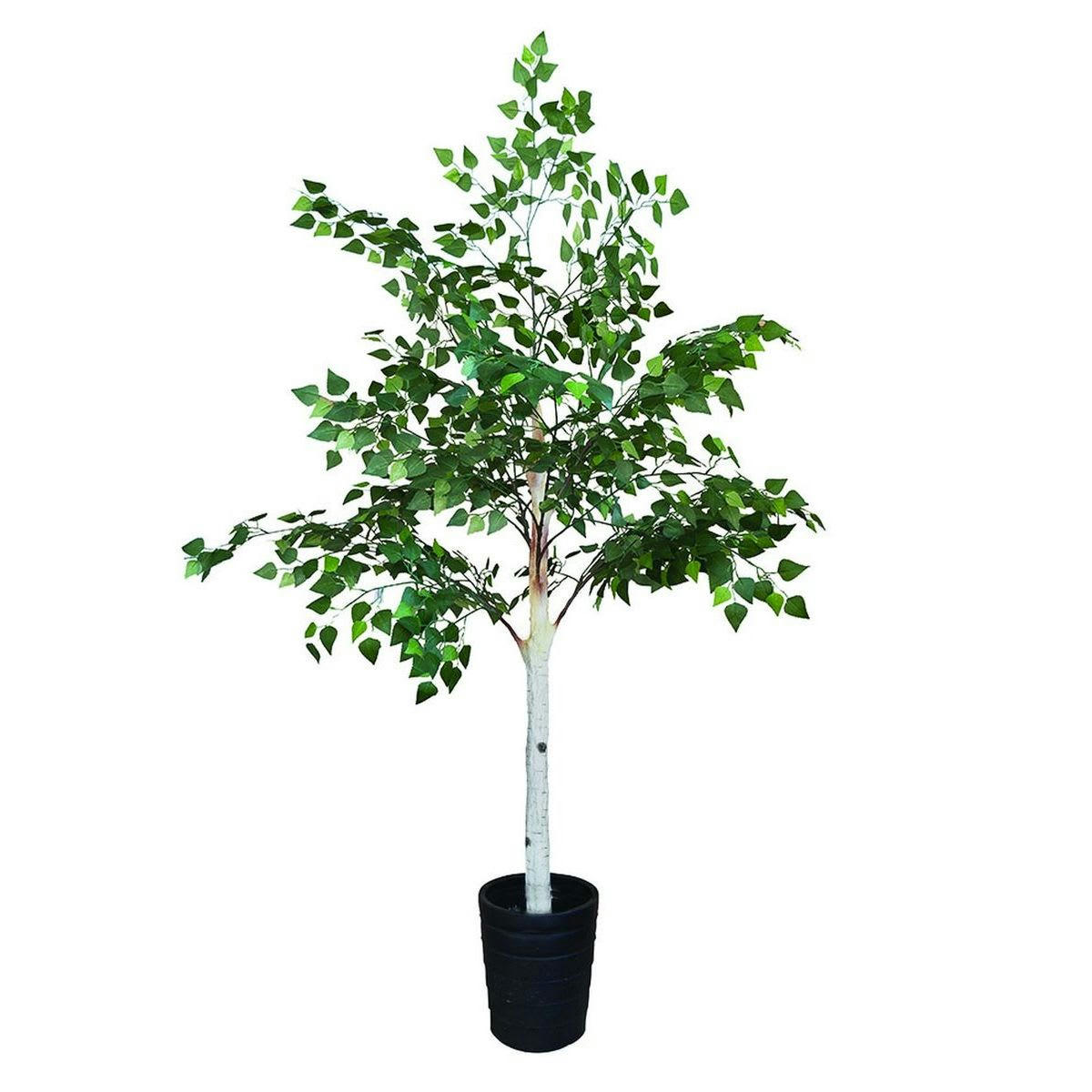 FRAY - Bouleau artificiel