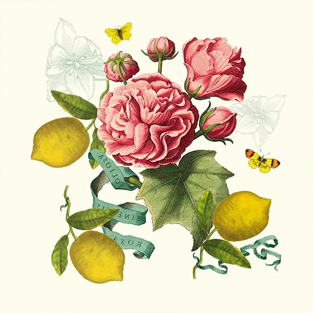 CITRONS DE MENTON ROMANCE - Serviette  pur lin multicolore 45x45