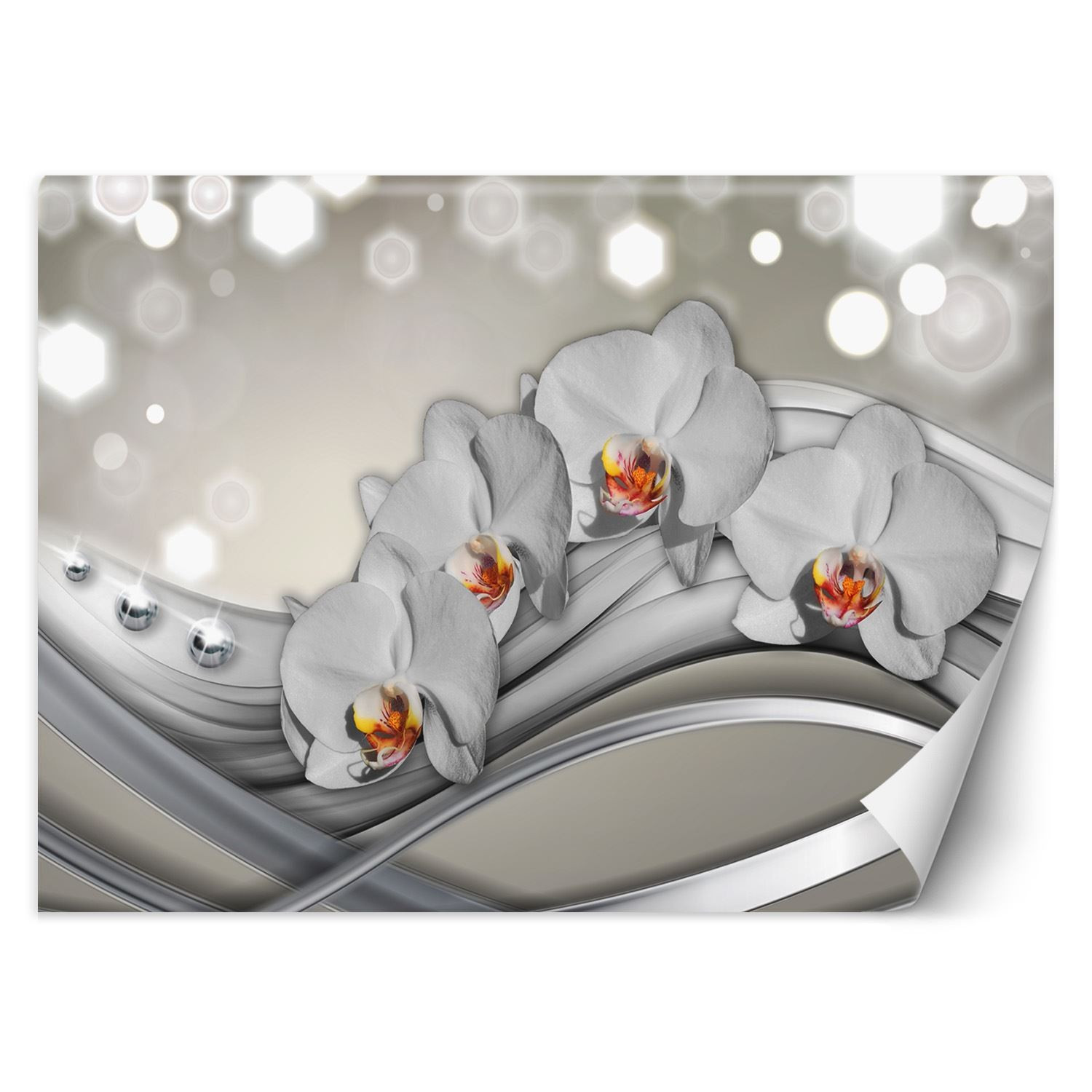 Feeby Fototapeta, Orchidea abstrakcja 150x105