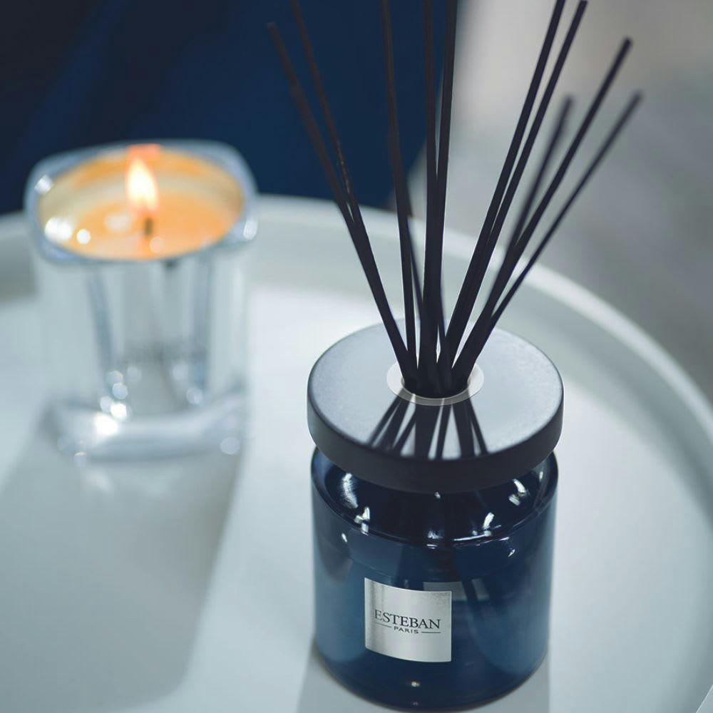 LIN & PETITGRAIN - Bouquet parfumé Ellipse 200ml