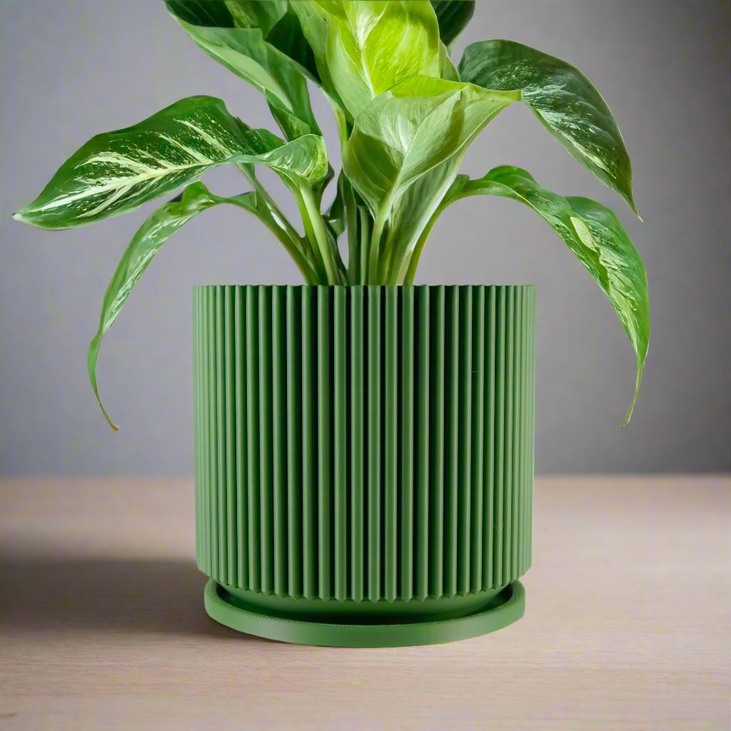 Mid-Century Modern Pot in Matte Olive Green, Pots with Drainage and Saucer, Succulent, Cacti and House Plant Planter, Lightweight