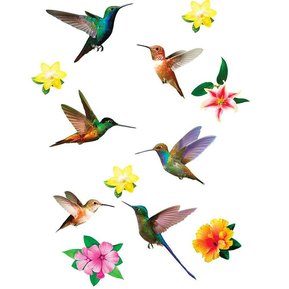 COLIBRIS - Stickers muraux colibris 20x70