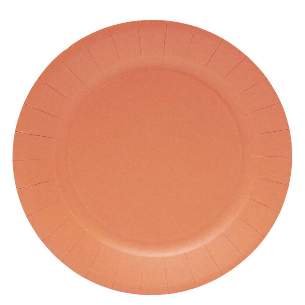 Lot de 10 assiettes en carton orange Ø23cm
