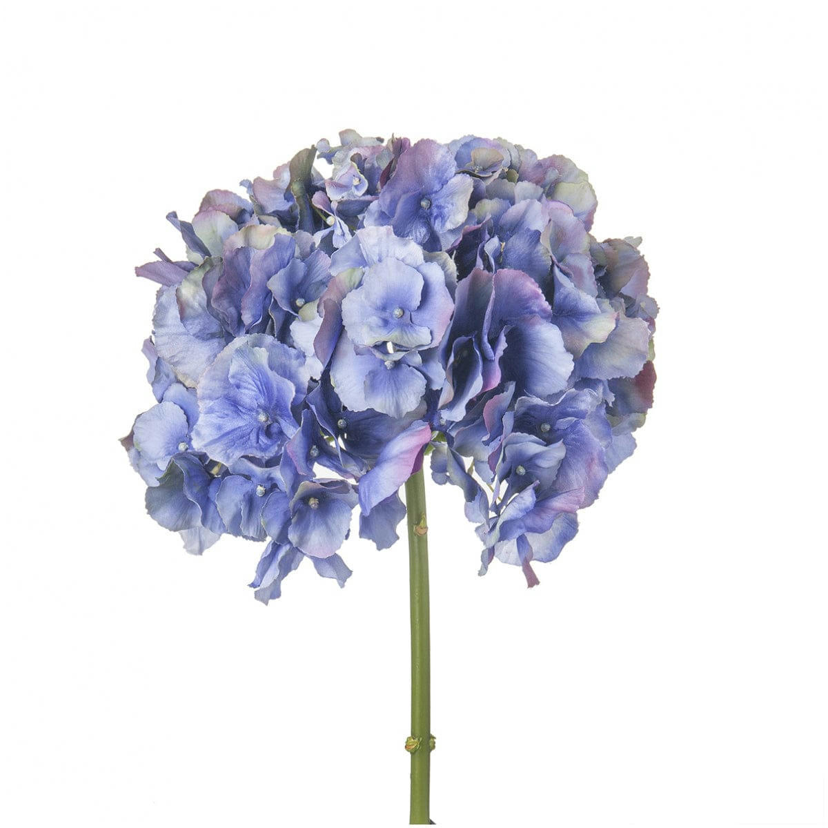 ANAE - Hortensia artificielle Anae H53cm