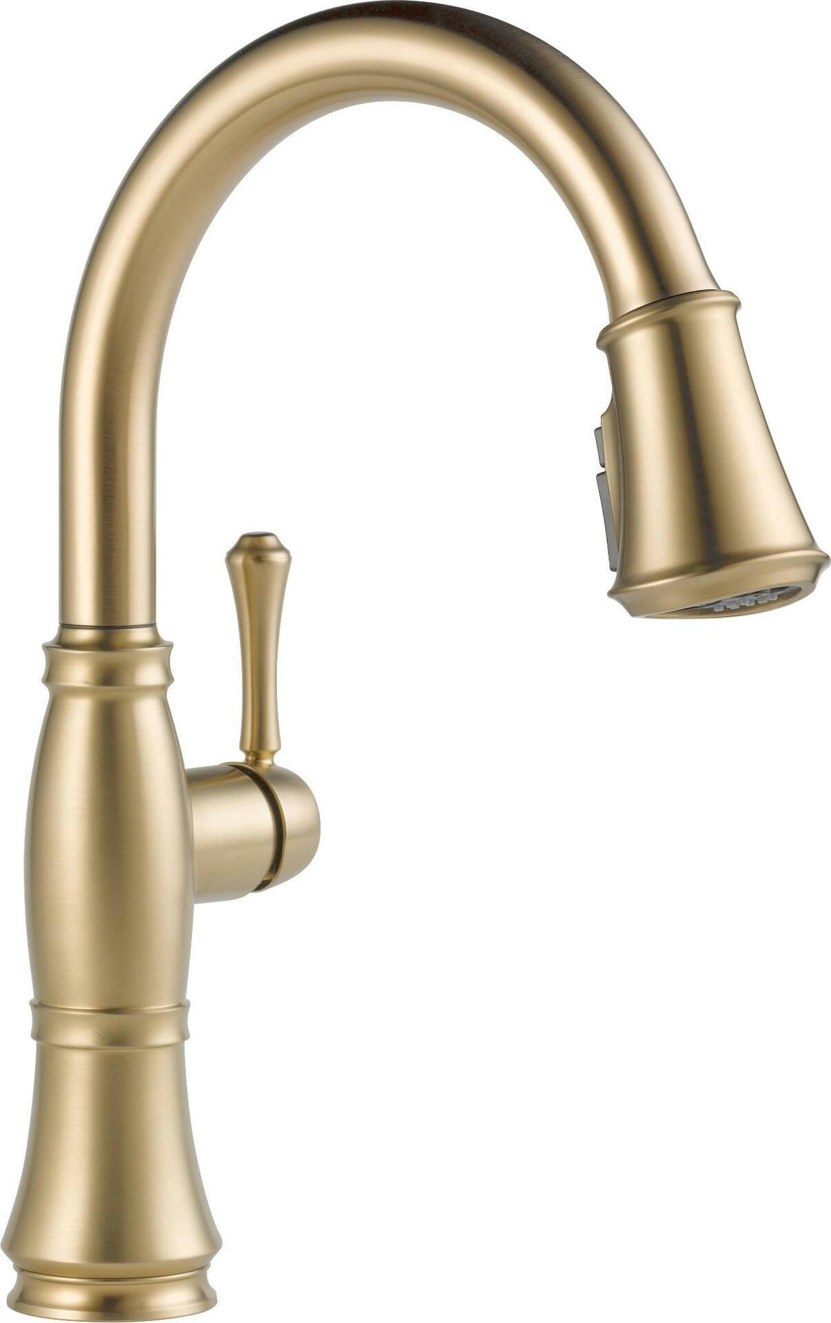 Delta Cassidy 1-Handle ShieldSpray® Pull-Down Kitchen Faucet, Champagne Bronze