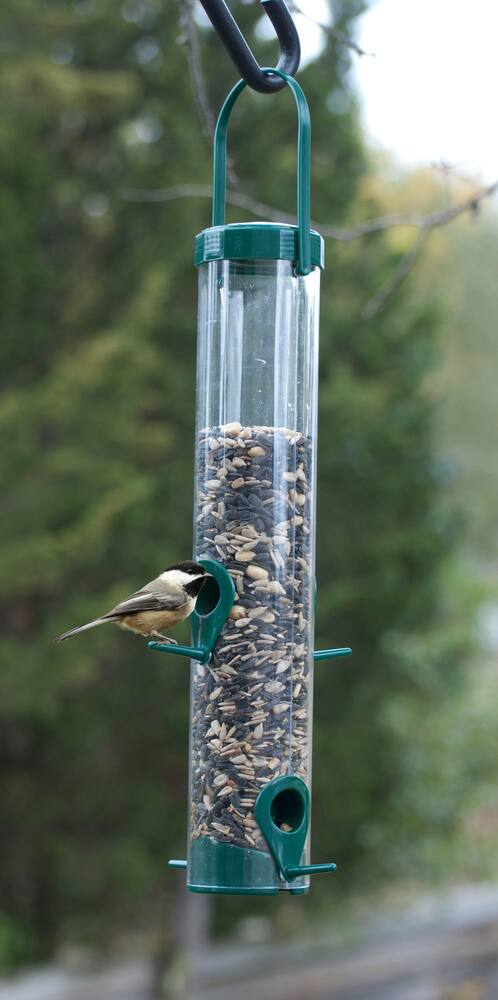 Green Plastic Hanging Wild Bird Feeder