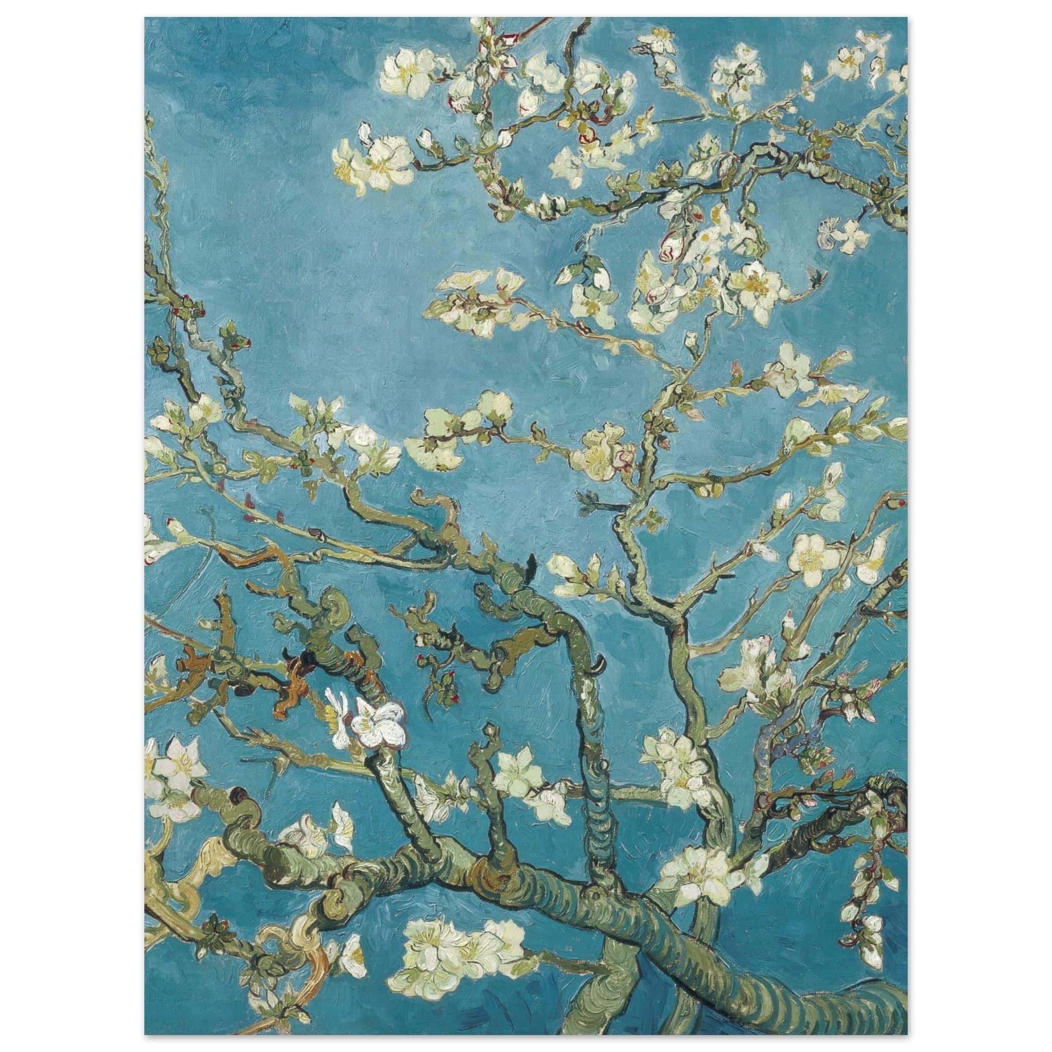 Artfulprints Poster Vincent van Gogh - Amandelbloesem  - 30x40 cm - Blauw