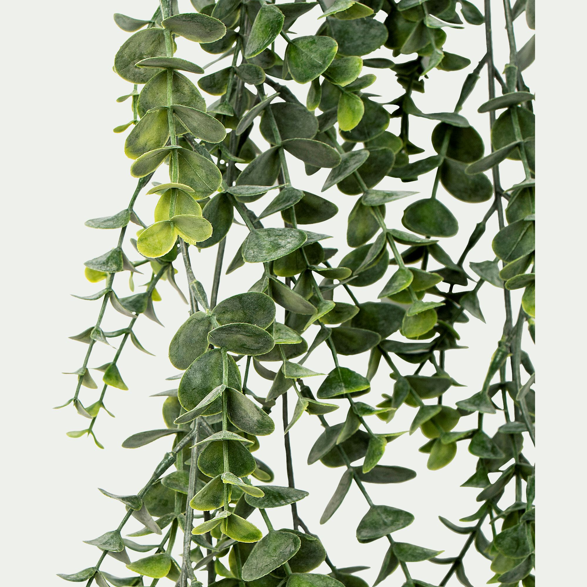 VALYPTUS - Plante eucalyptus artificielle tombante à suspendre - vert L78cm
