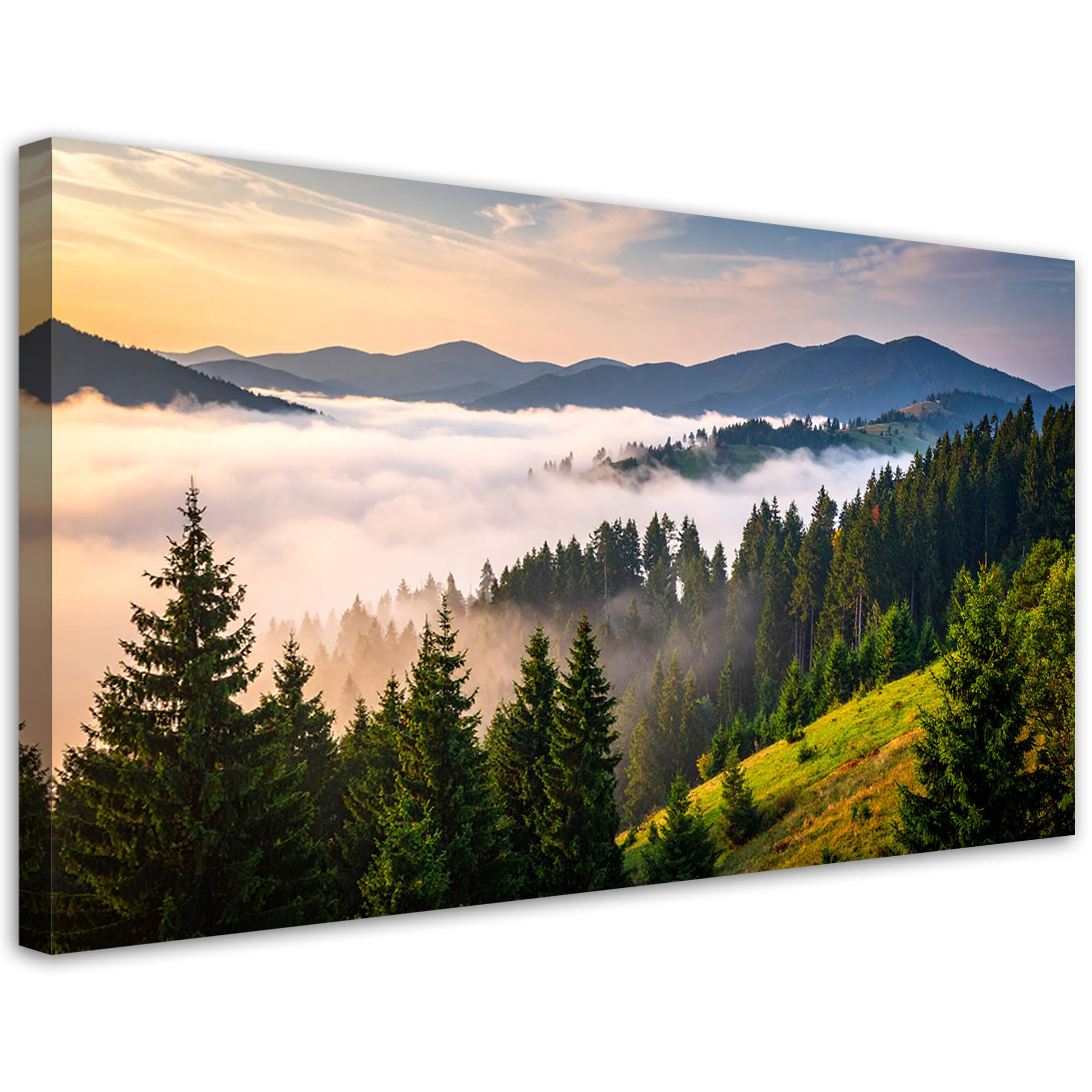 Obraz do salonu sypialni biura, Las góry we mgle krajobraz 80x40