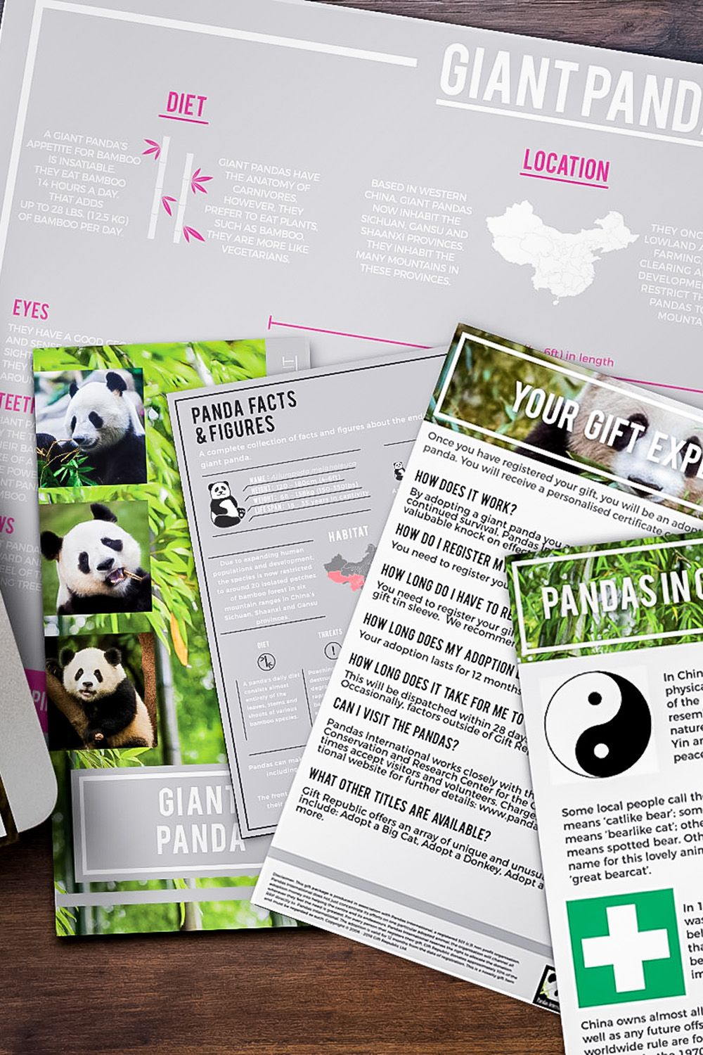 Gift Republic Adopt a Panda Gift Pack