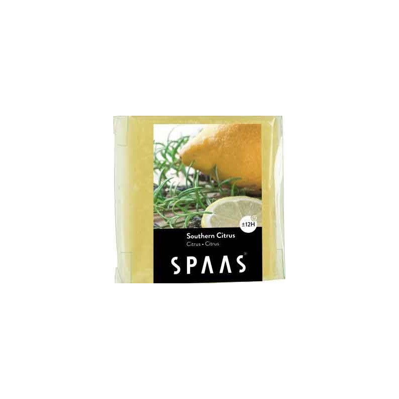 Pastille Wax Melts agrumes du sud