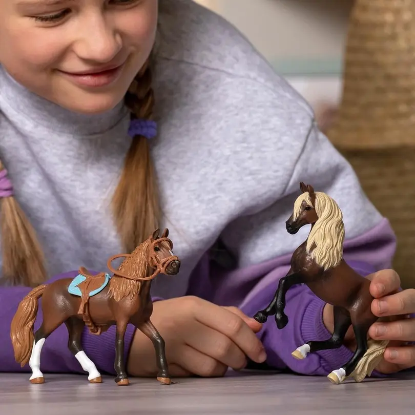 Spielset Horse Club