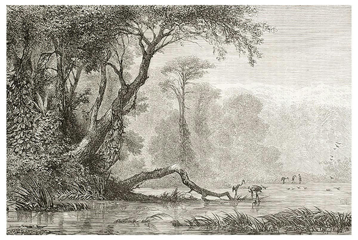 - Affiche gravure les bords du fleuve sans cadre 60x40cm