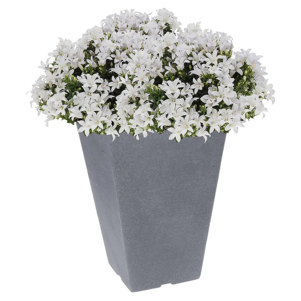 Hoge bloempot - buiten - kunststof - antraciet - 24 x 24 x 35 cm