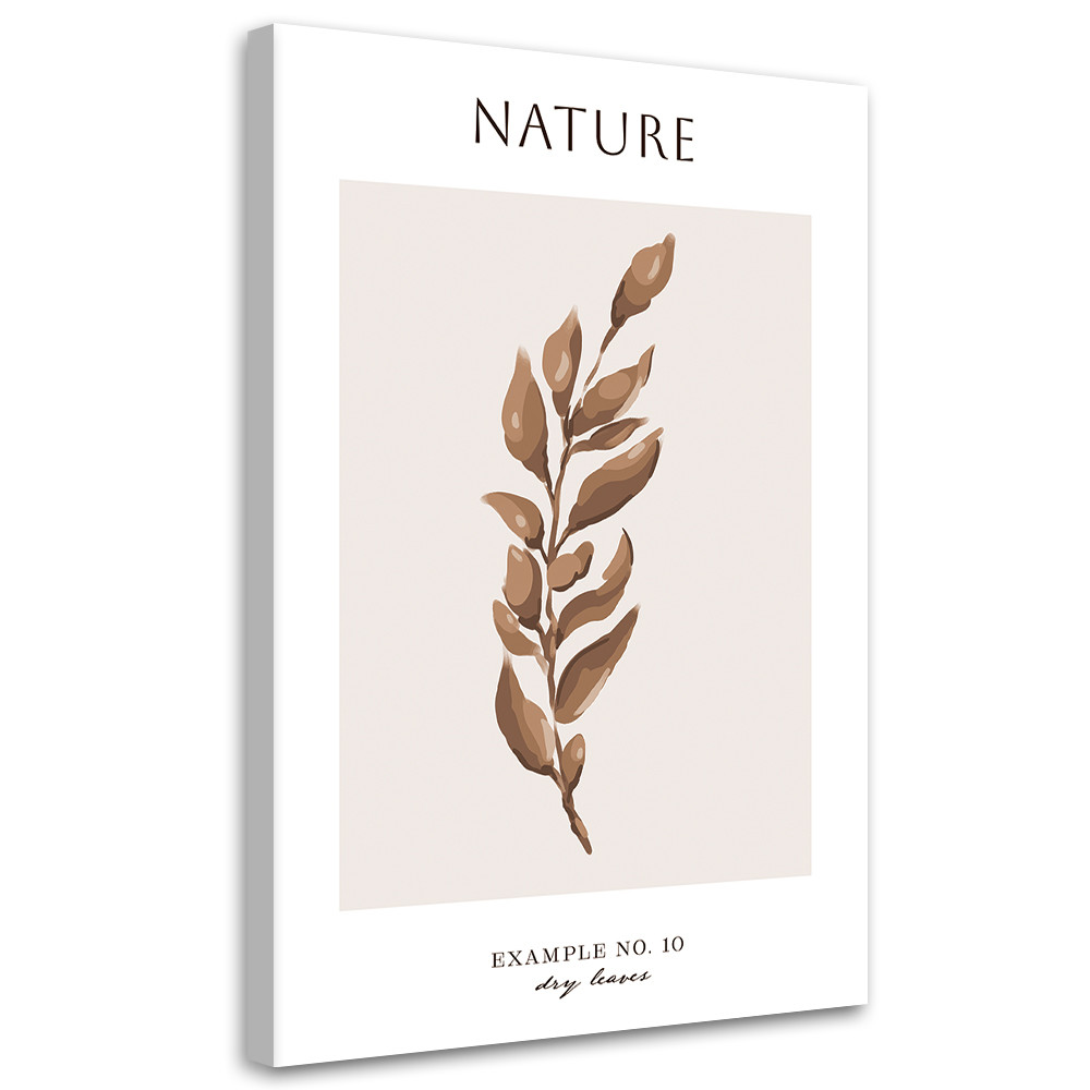 Feeby Obraz na płótnie, Suche liście - Natura 40x60
