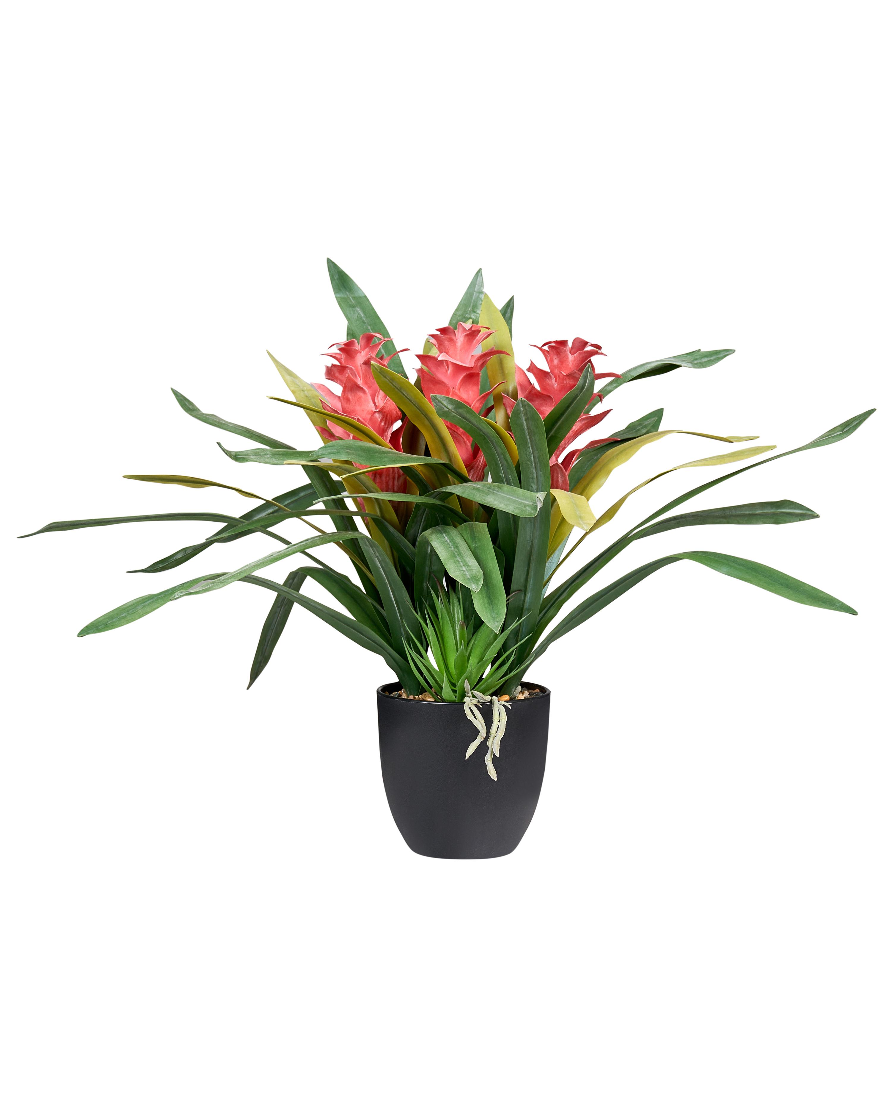 Artificial Plant GUZMANIA ATILLA 50 cm Green