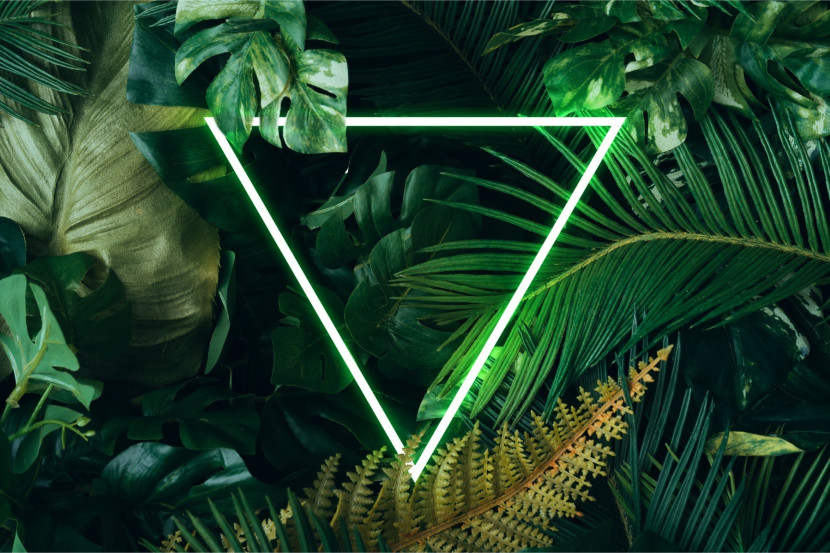 Fototapeta Neonowy TRÓJKĄT Urban Jungle 3D 90x60cm