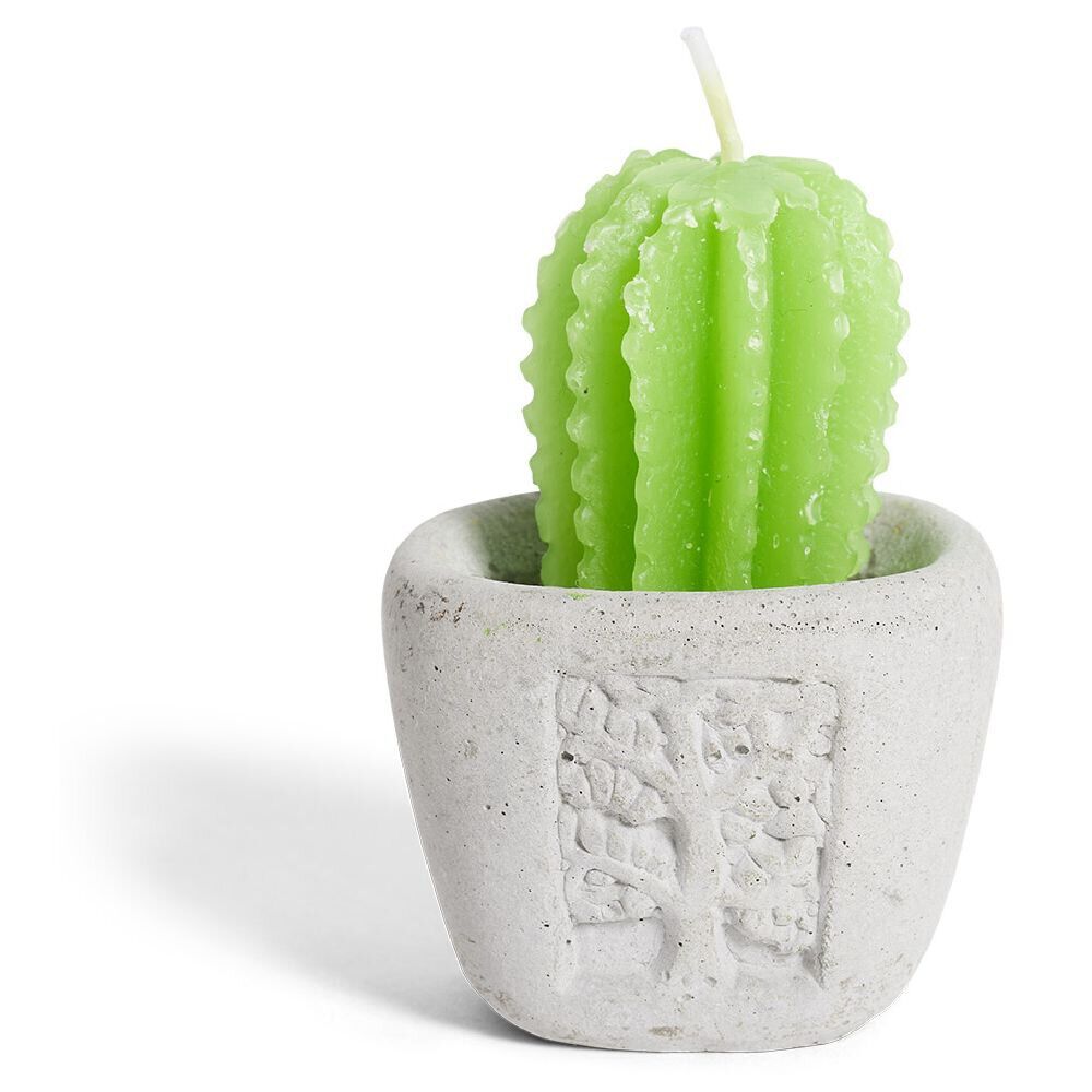 Bougie plante dans pot ciment Ø5xH7cm
