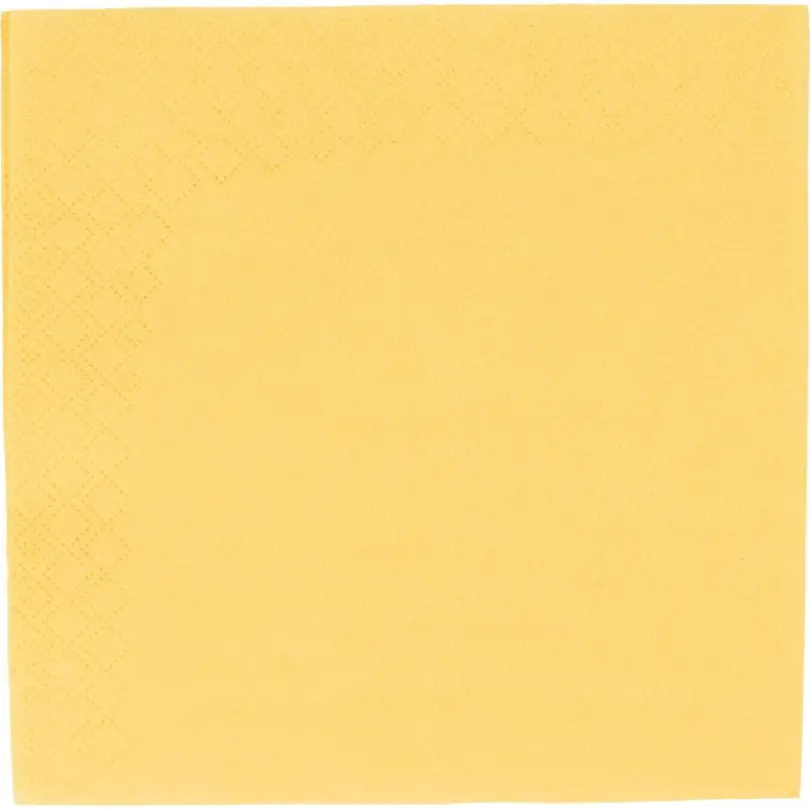 Serviette 100er-Set Elco