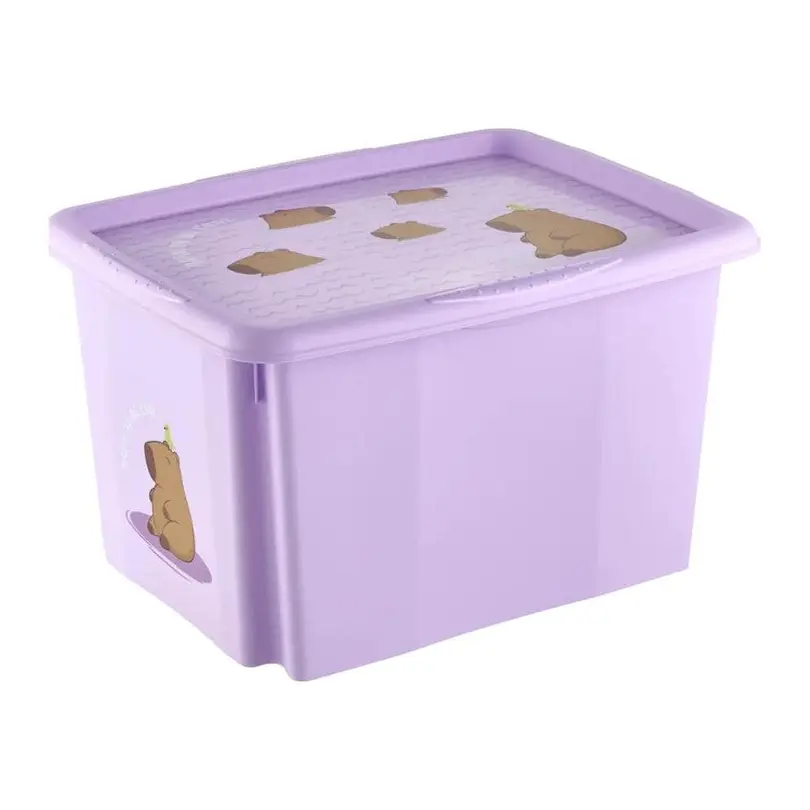 Aufbewahrungsbox Karolina