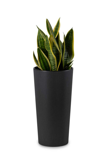Donica Urbanika ECO czarny h36 cm