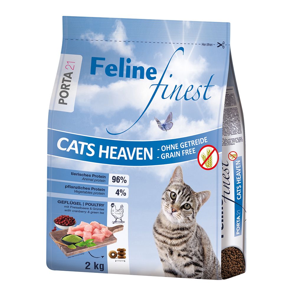 Porta 21 Feline Finest Cats Heaven