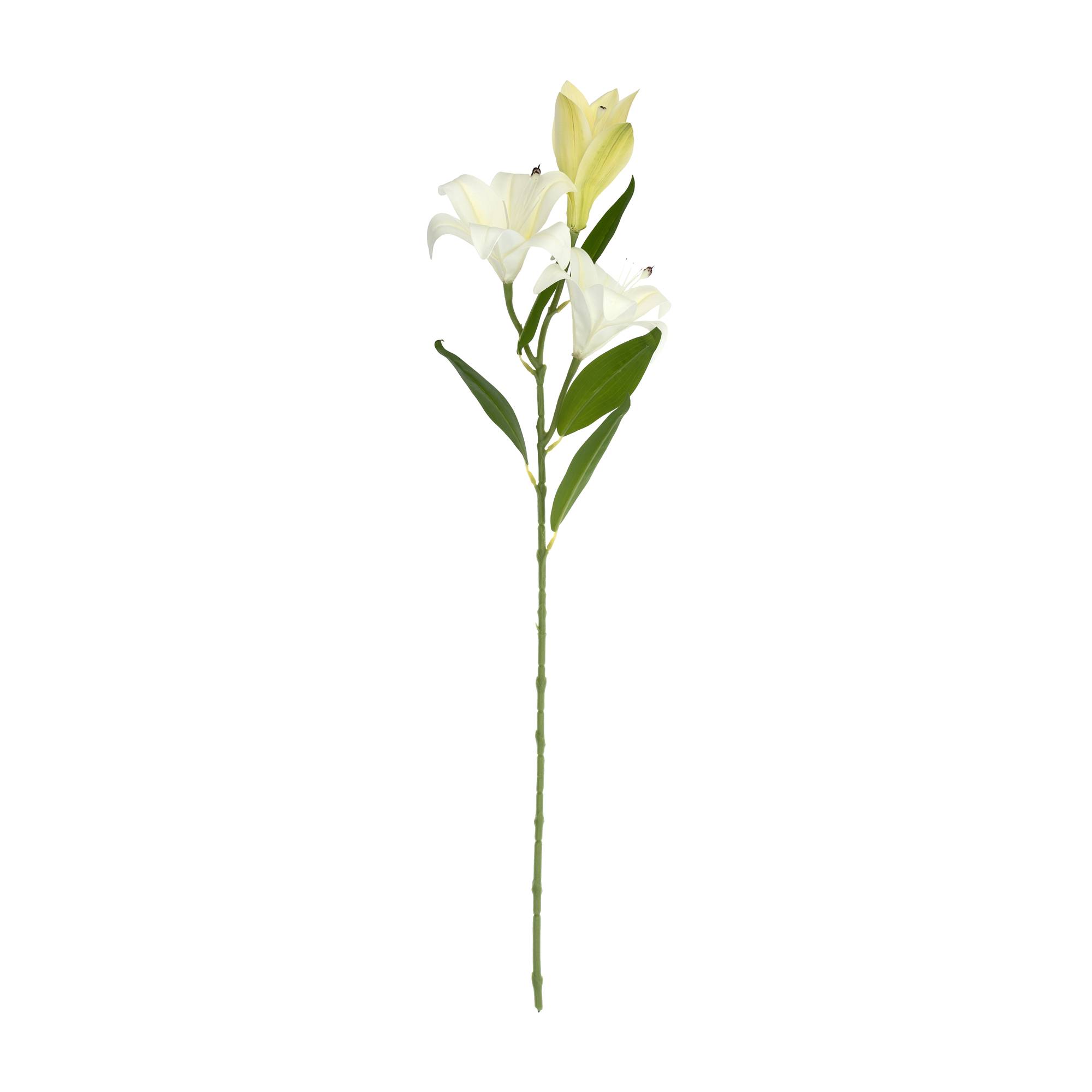 White Lily Spray 70cm